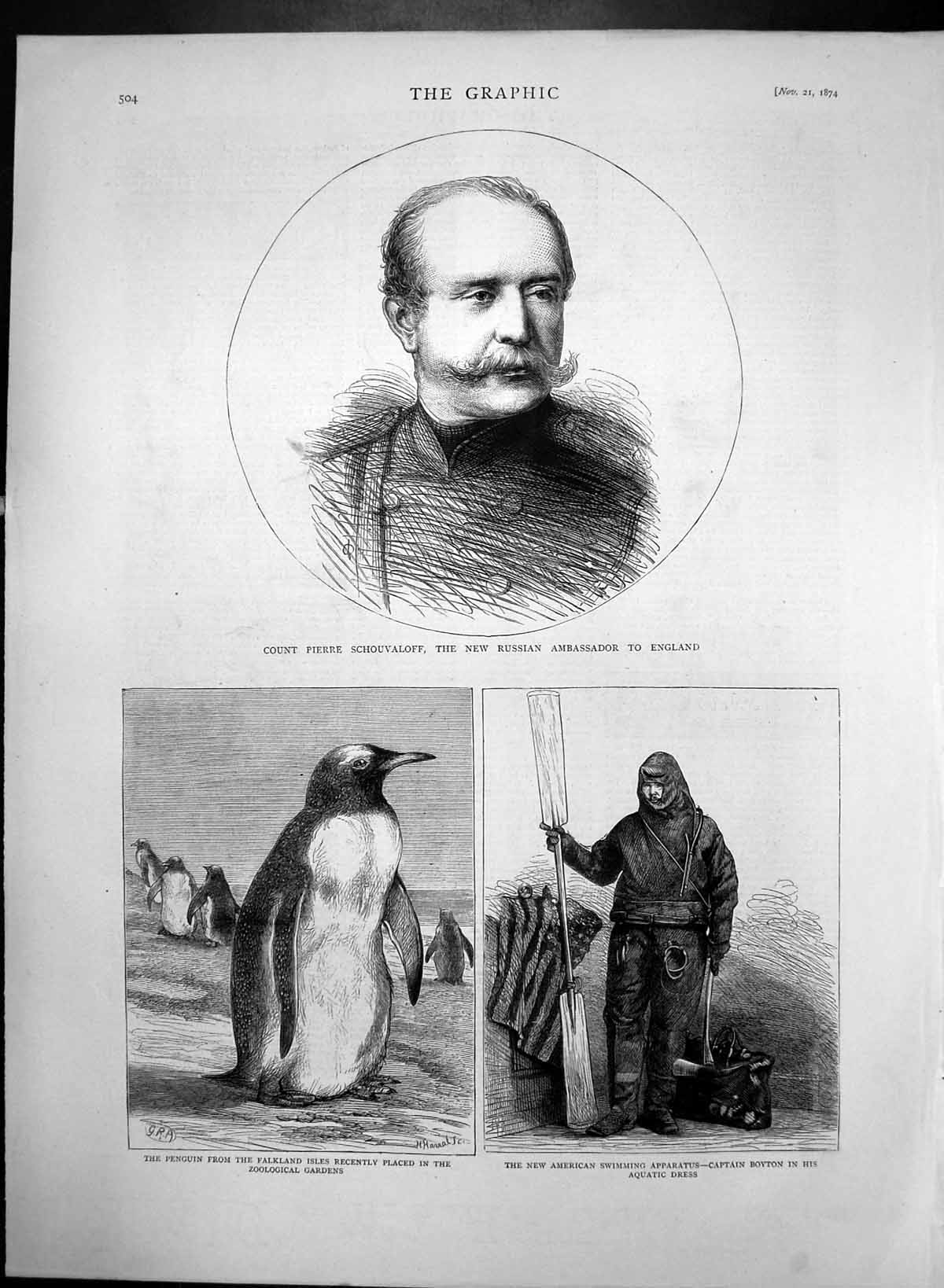 Antique Old Print Pierre Schouvaloff Russian Ambassador Falkland Penquin 1874