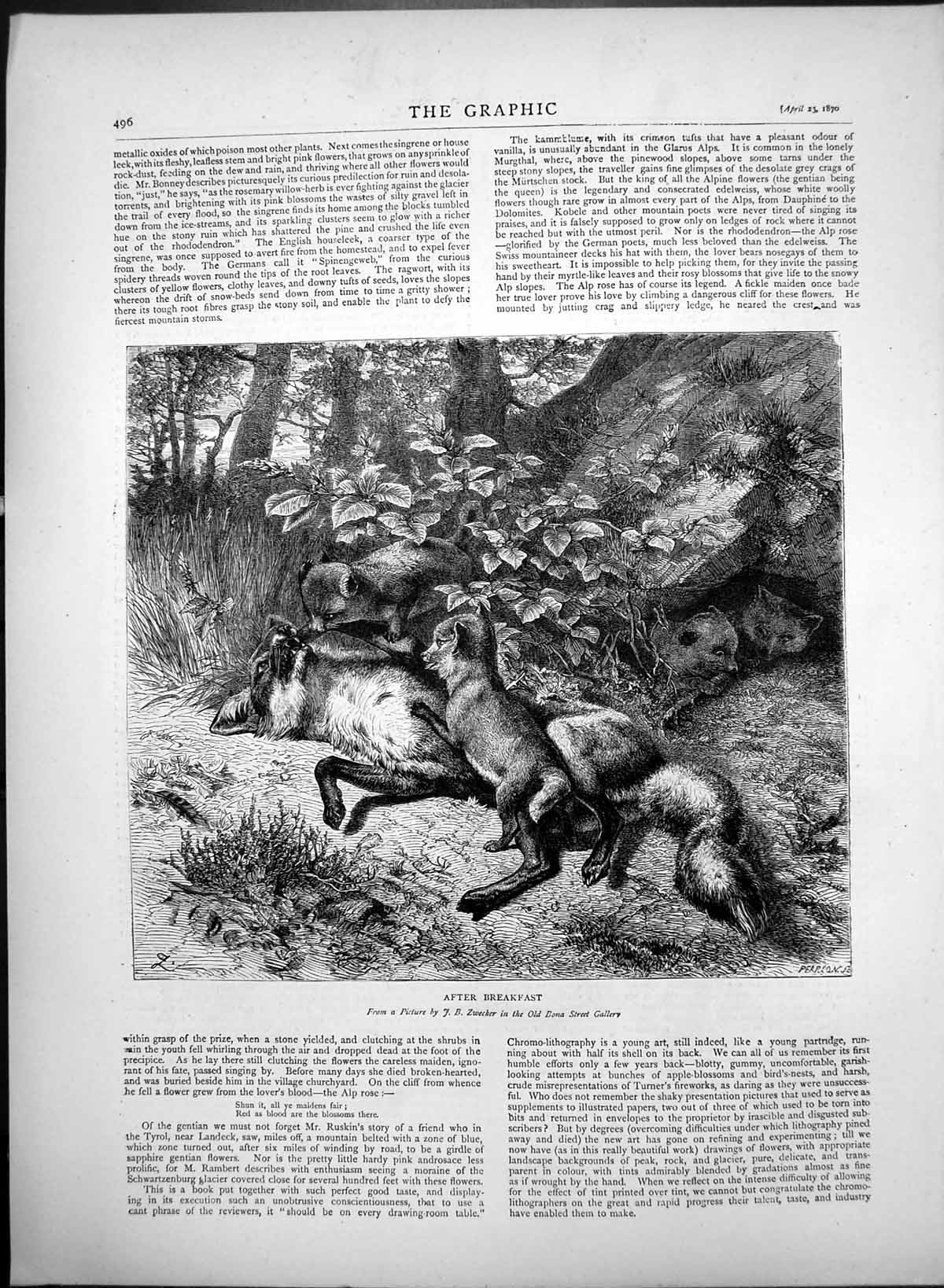 Original Old Antique Print After Breakfast J B Zwecker Bond Street Gallery 1870