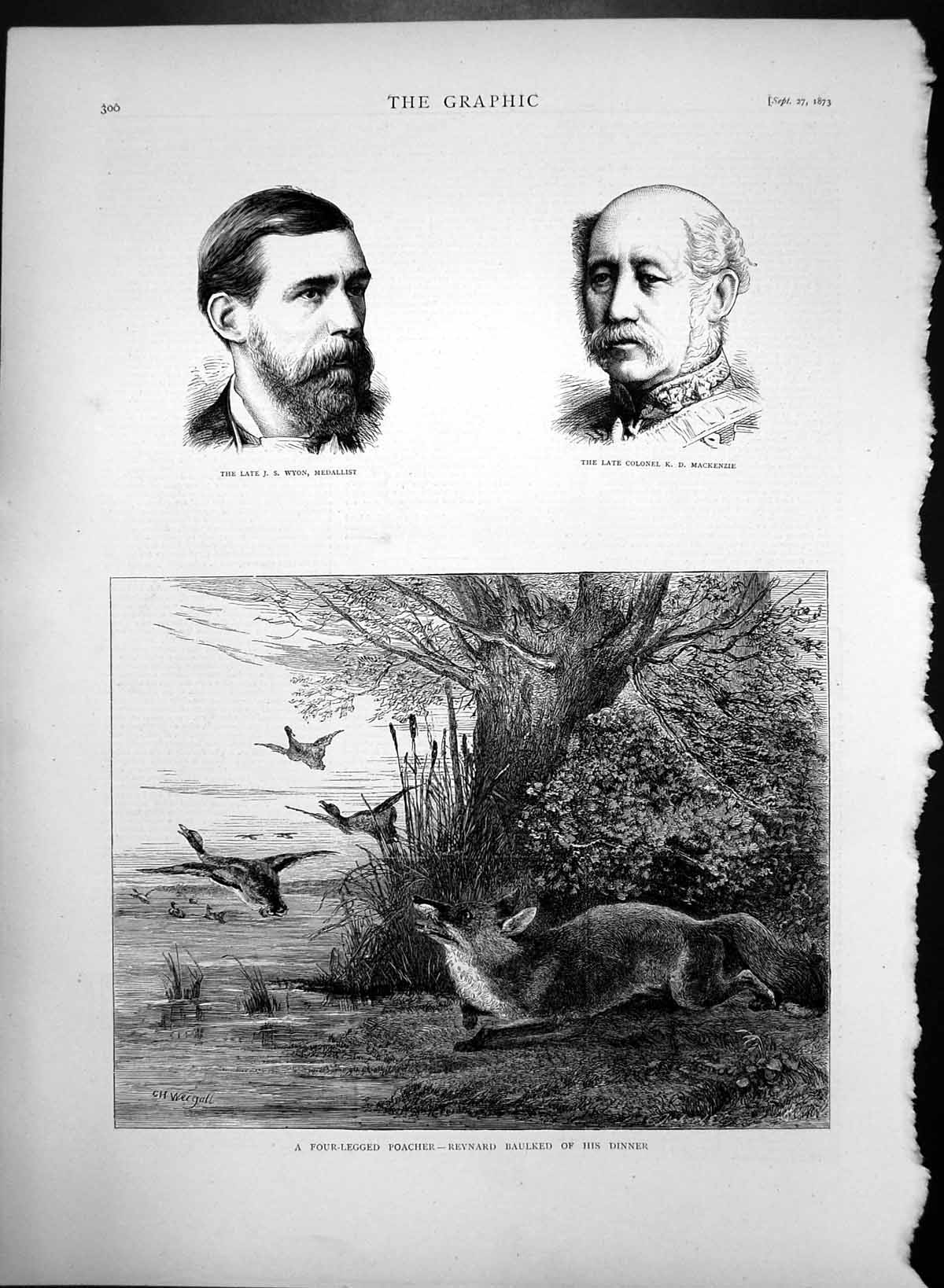 Original Old Antique Print Four Legged Poacher Fox Trying To Catch Geese 1873
