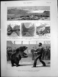 Antique Old Print A Boxing Match On Board Hms Cambridge Canal Isthmus 1890 19th