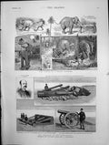 Antique Old Print Career A Rogue Elephant The Defences The Dardanelles 1888