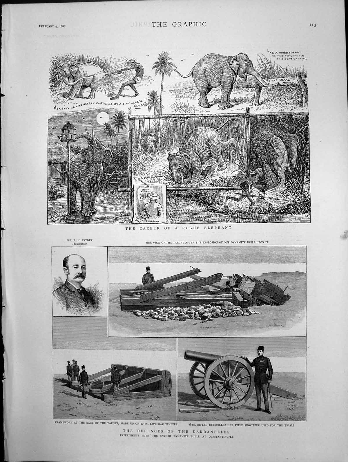 Antique Old Print Career A Rogue Elephant The Defences The Dardanelles 1888