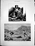 Old Print Rembrandt'S Etching Petrus Van Tol Attack By Ostrich Farm 1883 19th