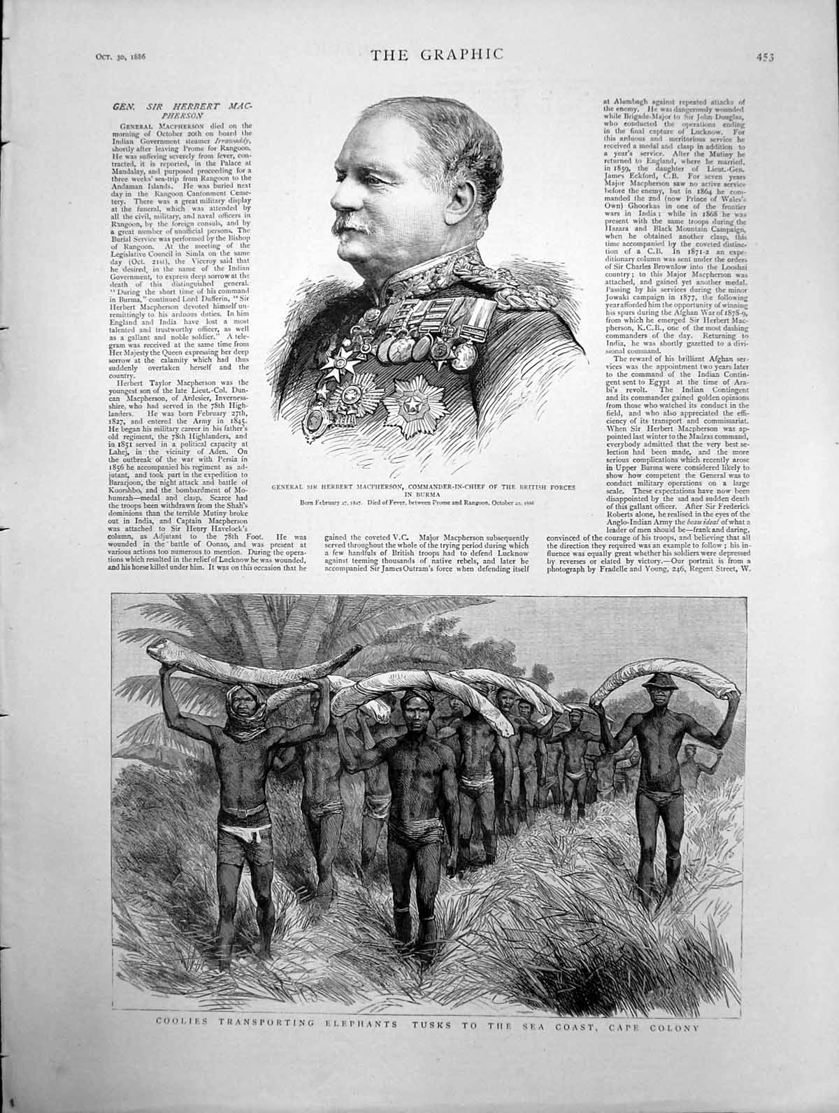Antique Old Print Transporting Elephant Tusks To Sea Coast Cape Colony 1886