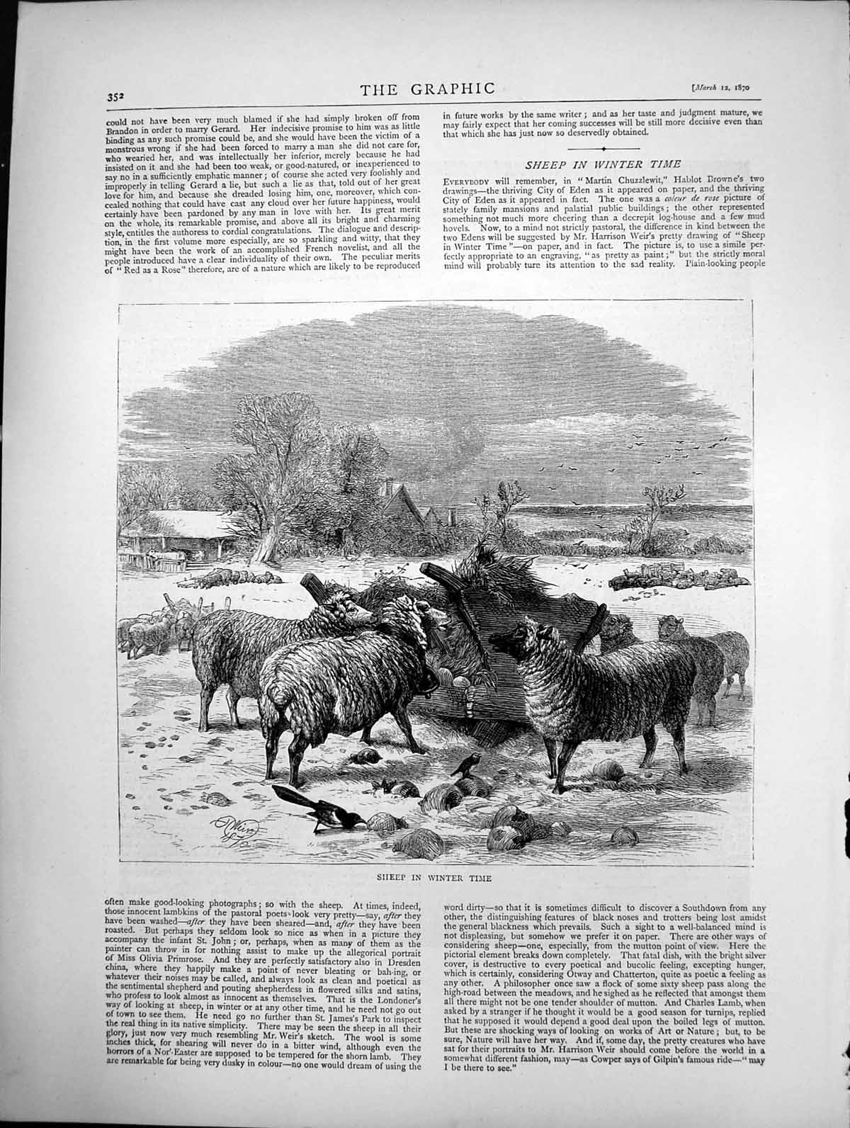 Original Old Antique Print Sheep In Winter Time Sketch 1870 19th