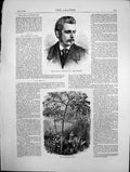 Antique Print Portrait Late E Denison Mp For Newark The Godwinia Gigas 1870