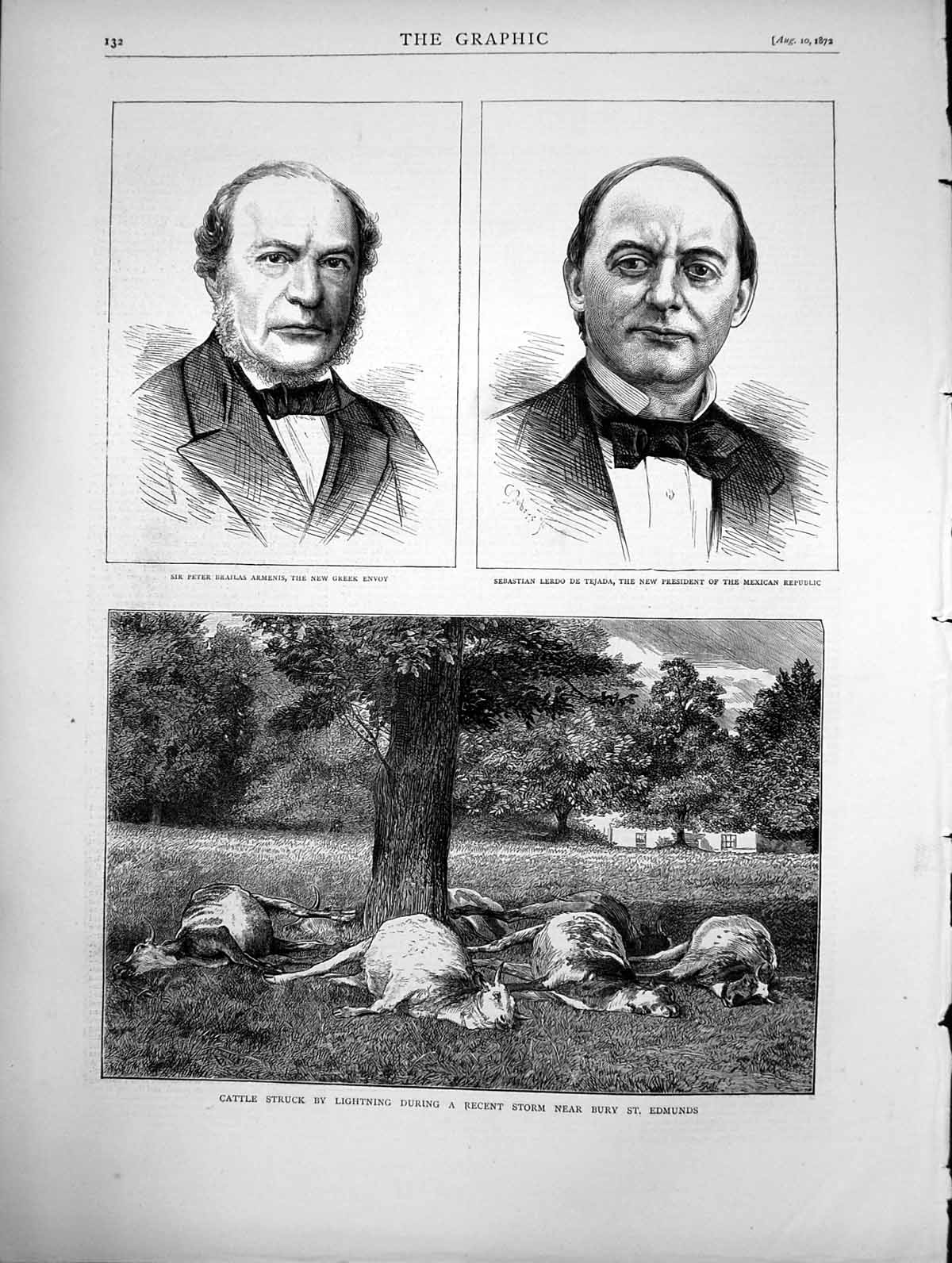 Old Print Cattle Struck Lightning Bury St Edmonds Sir Armenis Tejada 1872 19th