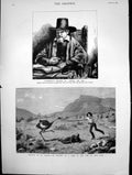 Antique Old Print Rembrandt'S Etching Petrus Van Tol Attacked By Ostrich 1883