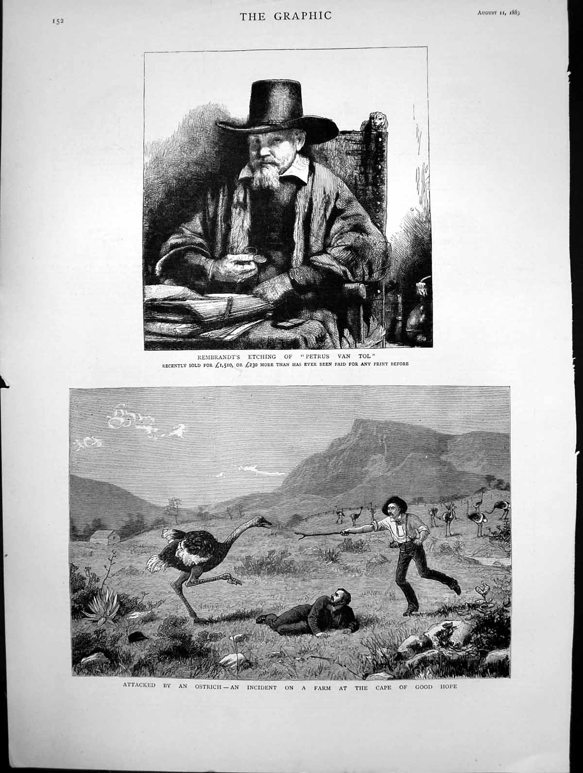 Antique Old Print Rembrandt'S Etching Petrus Van Tol Attacked By Ostrich 1883