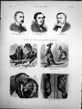 Antique Old Print Zoo Gardens Condors Australian Squatters Kiss Peace 1874 19th