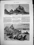 Antique Print Opara South Pacific Seal Rocks San Francisco California 1878 19th