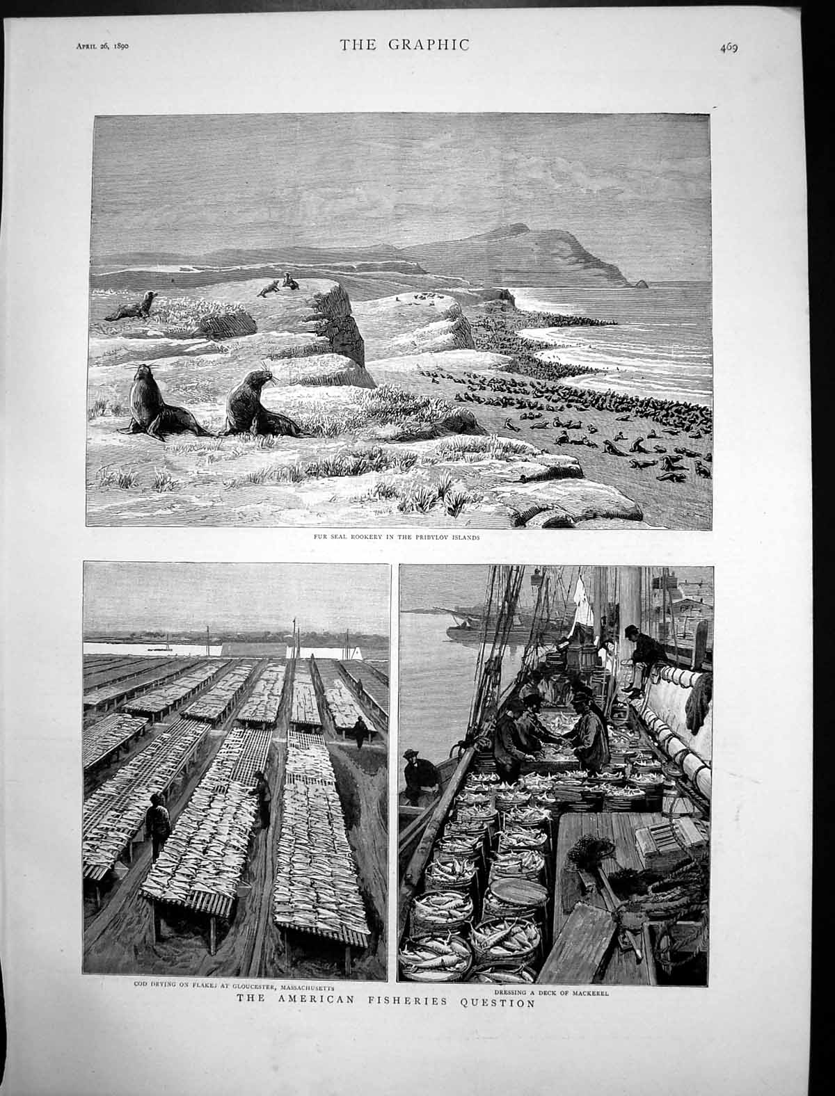 Antique Old Print Seal Rockery Pribylov Islands American Fisheries Cod 1890