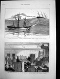 Antique Print Palmyra Towing Norton Falmouth Maori Leaders Whiti Tohu 1882 19th