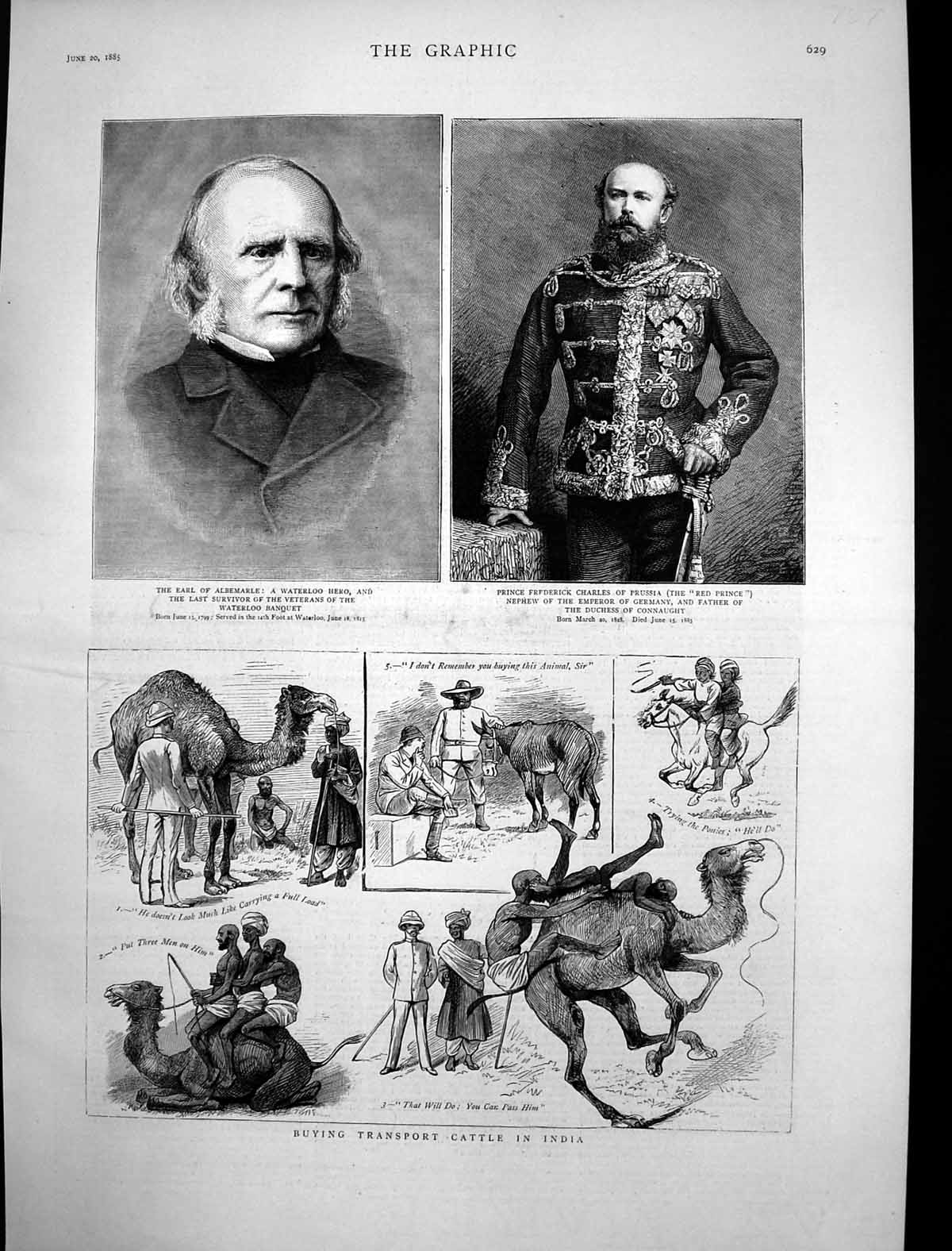 Antique Old Print Buying Transport Cattle India Prince Frederick Prussia 1885