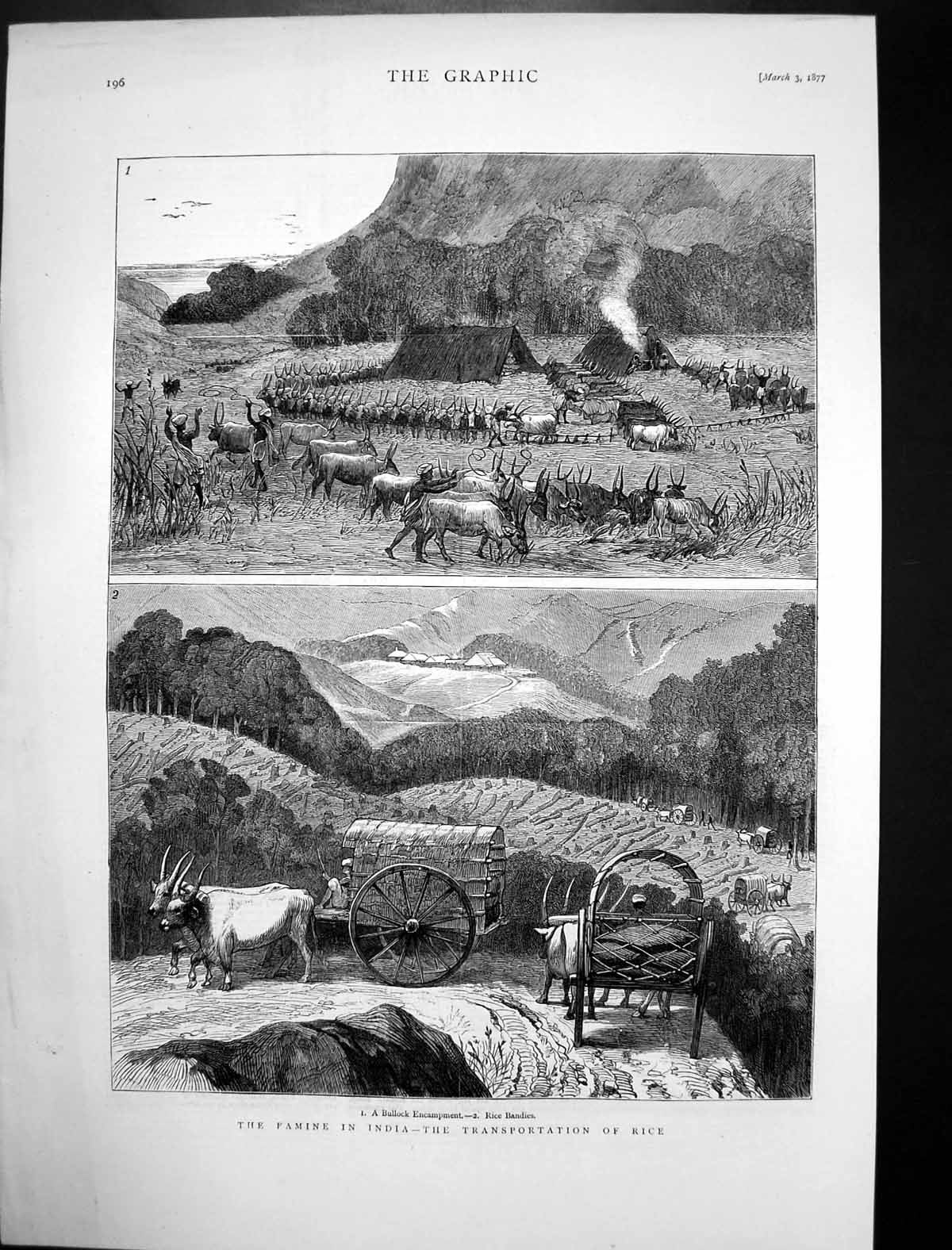 Antique Old Print Famine India Transportation Rice Bullock Encampment 1877 19th