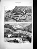Original Old Antique Print Rice Bandies Bullock Encampment India Famine 1877