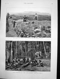 Old Antique Print GMining Wynaad India Natives Felling Timber Forest 1884 19th