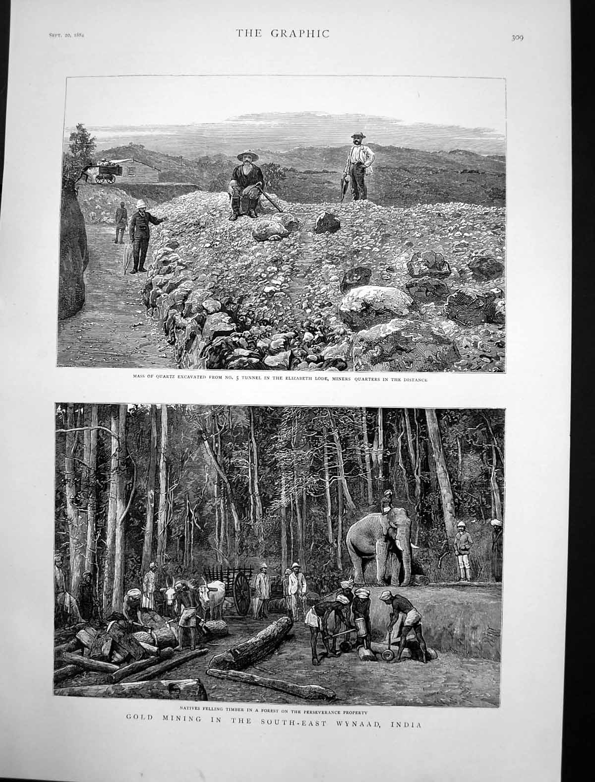 Old Antique Print GMining Wynaad India Natives Felling Timber Forest 1884 19th