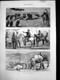 Antique Old Print Afghan War Generals Roberts Maude Dead Camel Jumrood 1879