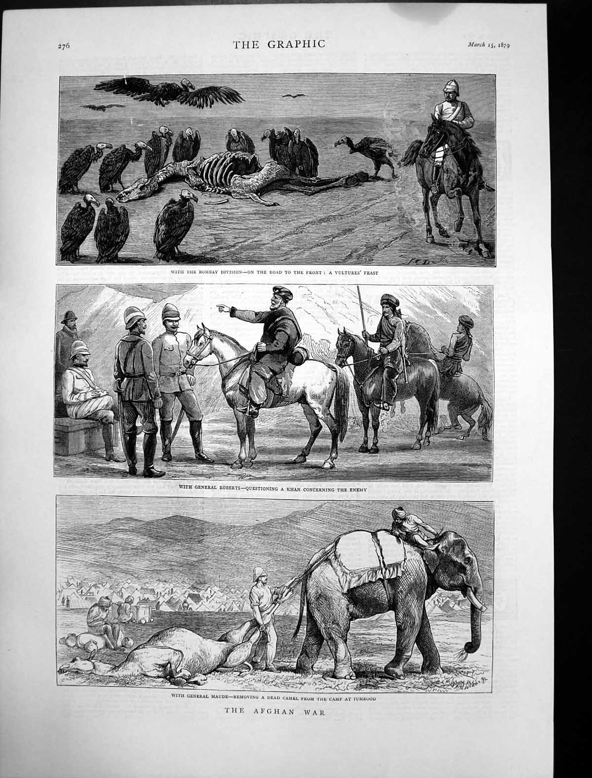 Antique Old Print Afghan War Generals Roberts Maude Dead Camel Jumrood 1879