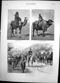 Old Life In Egypt Bedouin Buffalo & Driver Princess Driving Out 1882 Victorian