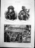 Old Antique Print Zoological Gardens Manchester Working Camp Bowdon 1888 19th