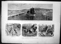 Old Antique Print View Geneva Zoo Regents Park Gardens Bear Monkey 1872 19th