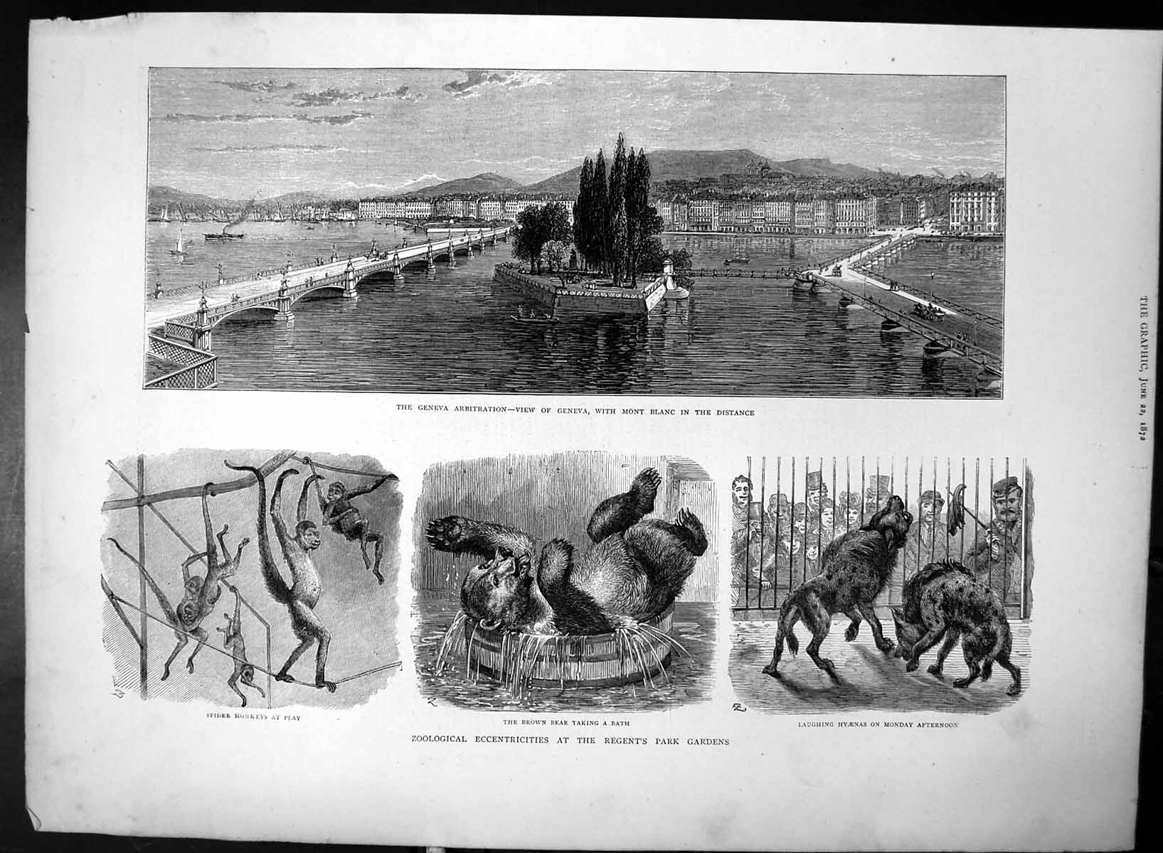 Old Antique Print View Geneva Zoo Regents Park Gardens Bear Monkey 1872 19th
