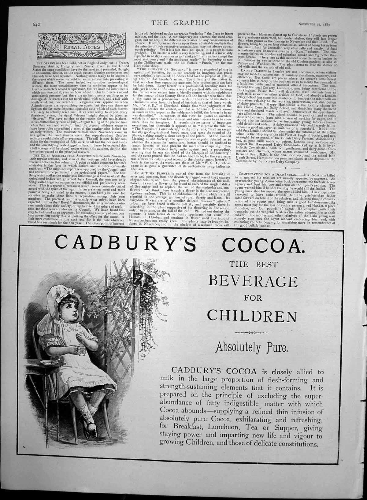 Old Antique Print Advert Cadburys Cocoa Best Beverage For Children 1889 19th