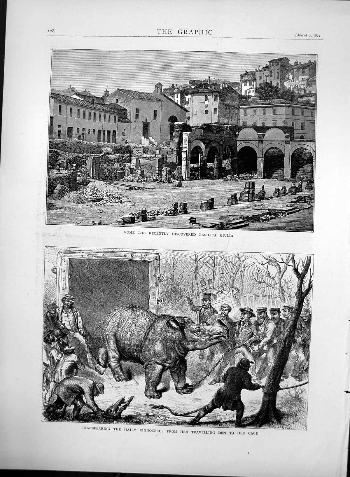 Antique Old Print Rome Basilica Giulia Hairy Rhinoceros Transfer To Cage 1872