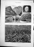 Antique Old Print Canadian Pacific Railway Vale Pineapple Field Bahamas 1883