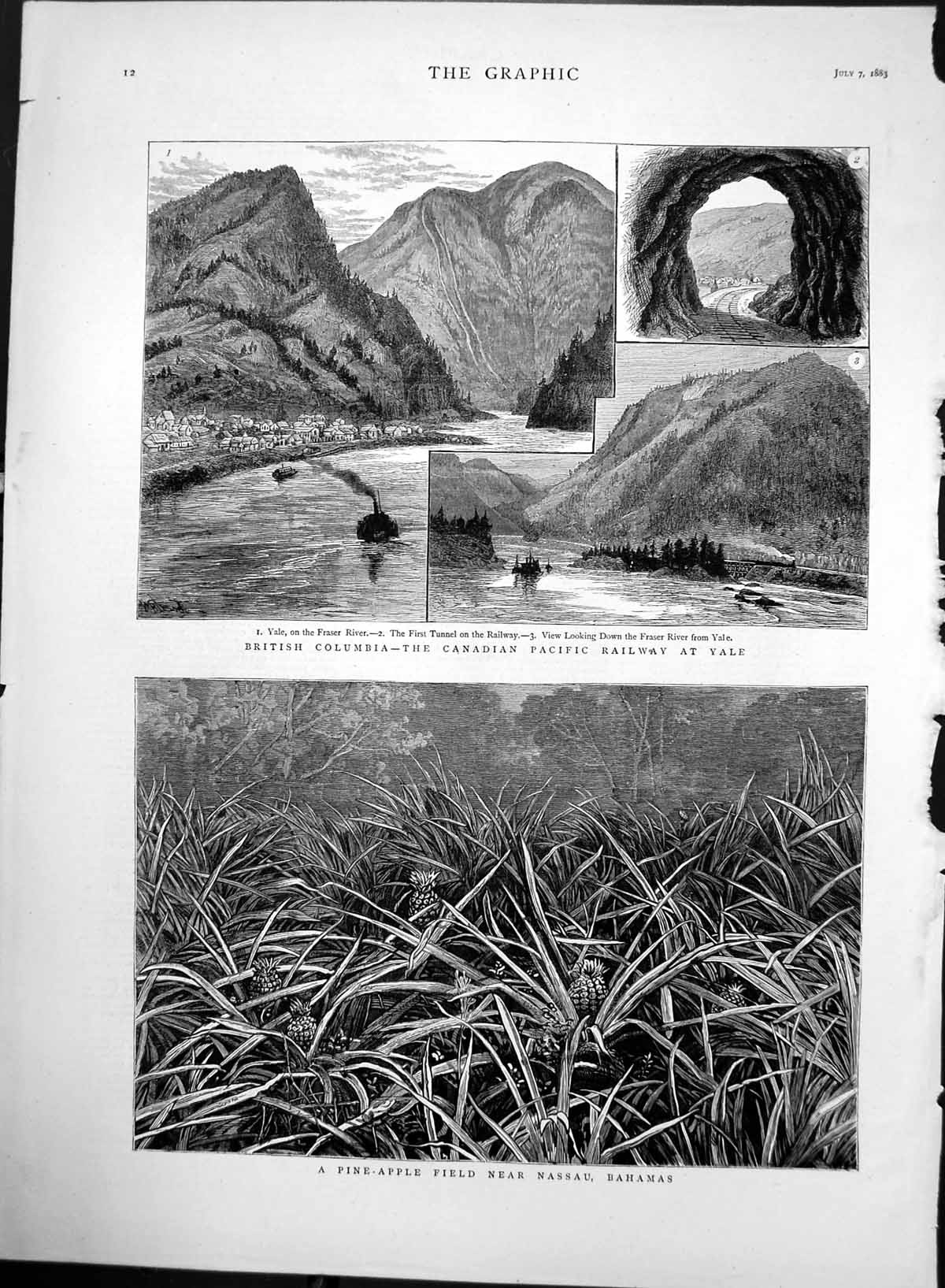 Antique Old Print Canadian Pacific Railway Vale Pineapple Field Bahamas 1883