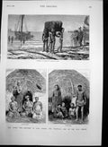 Antique Old Print Kaffir War Cape Colony Transvaal Zulu Border Algoa Bay 1878