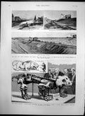 Antique Old Print Skeleton Pareiasaurus Baini New Ship Canal Grunthal 1891 19th