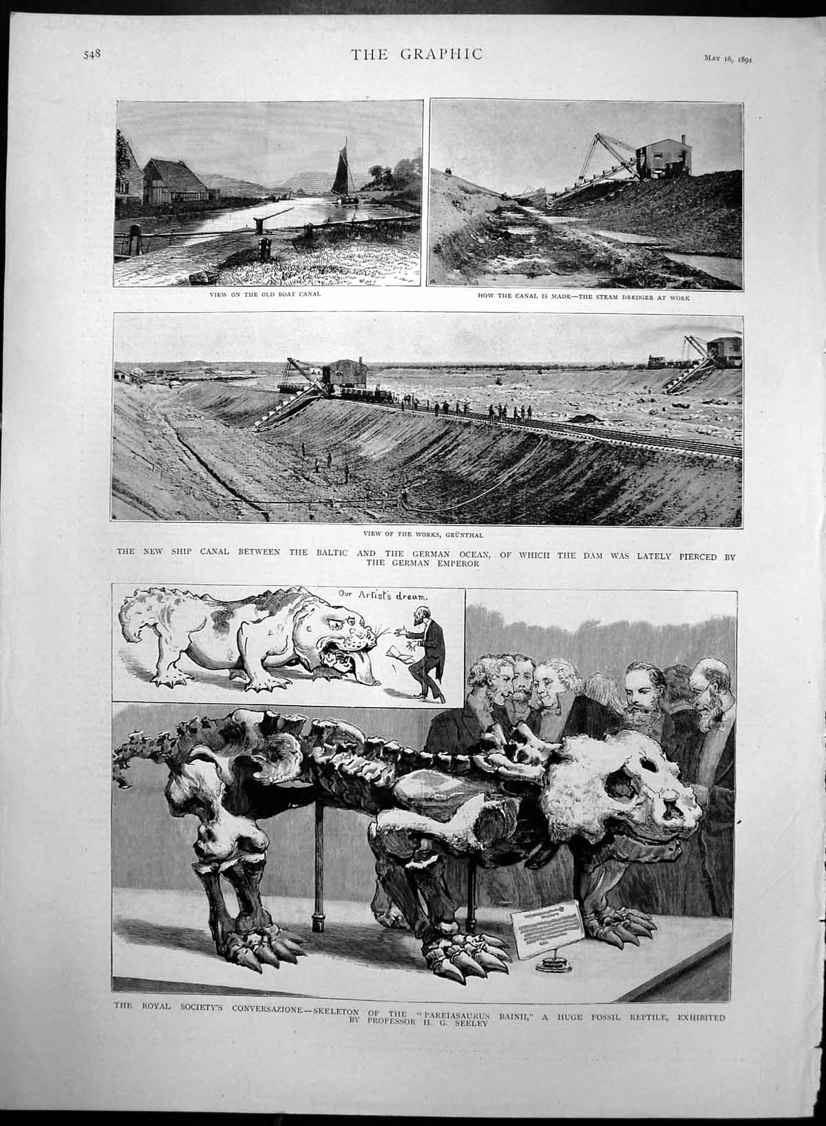 Antique Old Print Skeleton Pareiasaurus Baini New Ship Canal Grunthal 1891 19th