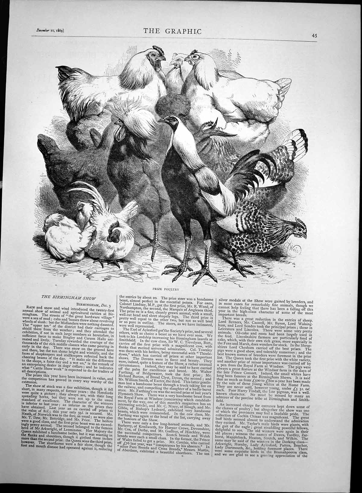 Original Old Antique Print Prize Poultry Birmingham Show 1869 19th