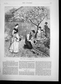 Original Old Antique Print Bedding Out Plants In Garden In June 1870 Victorian