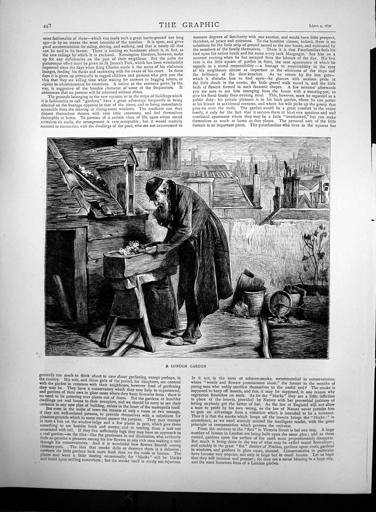 Original Old Antique Print Man Potting Plants In London Garden 1870 Victorian