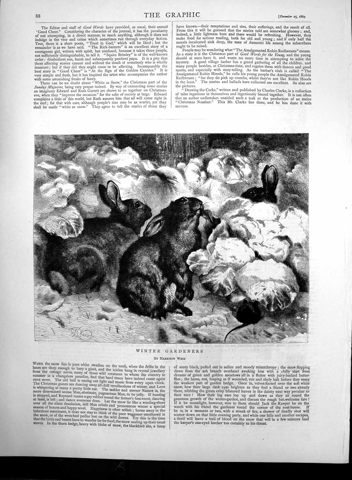 Original Old Antique Print Winter Gardeners Harrison Weir Hares & Mouse 1869