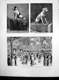 Old Antique Print British Fabric Ball Shipley Two Dogs Railway Jack 1882 19th