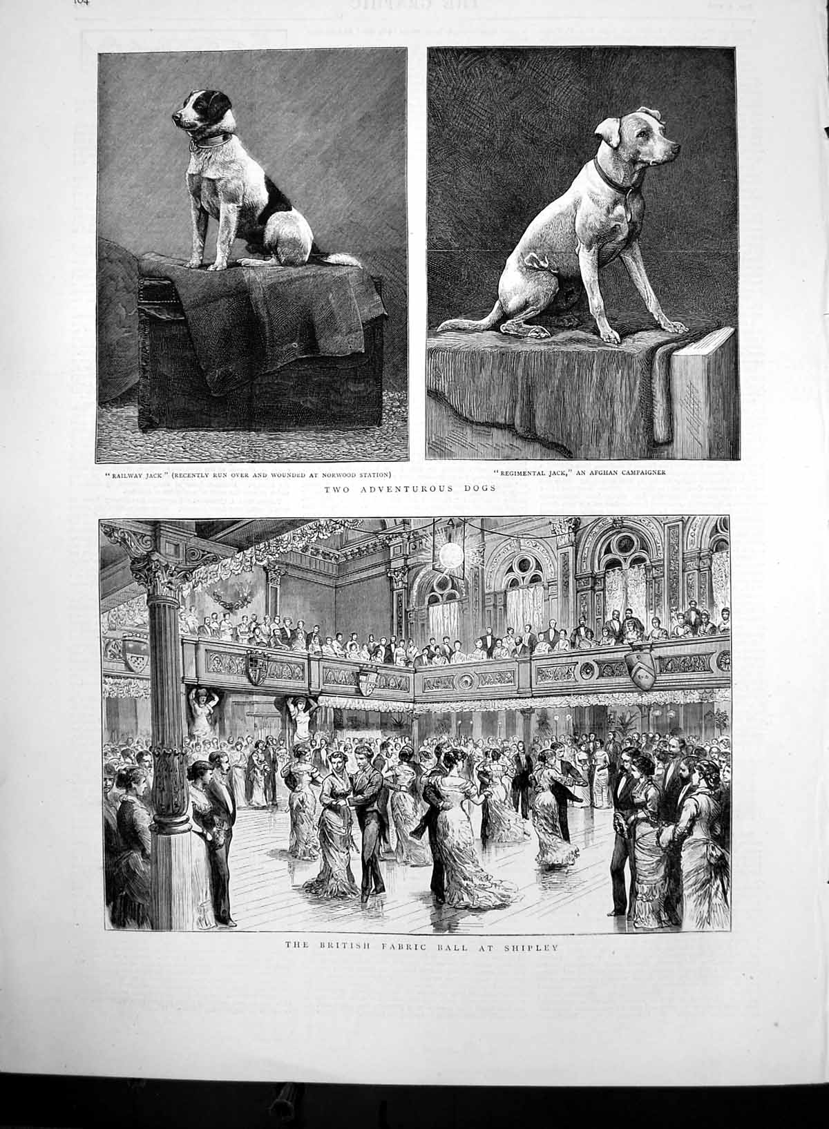 Old Antique Print British Fabric Ball Shipley Two Dogs Railway Jack 1882 19th