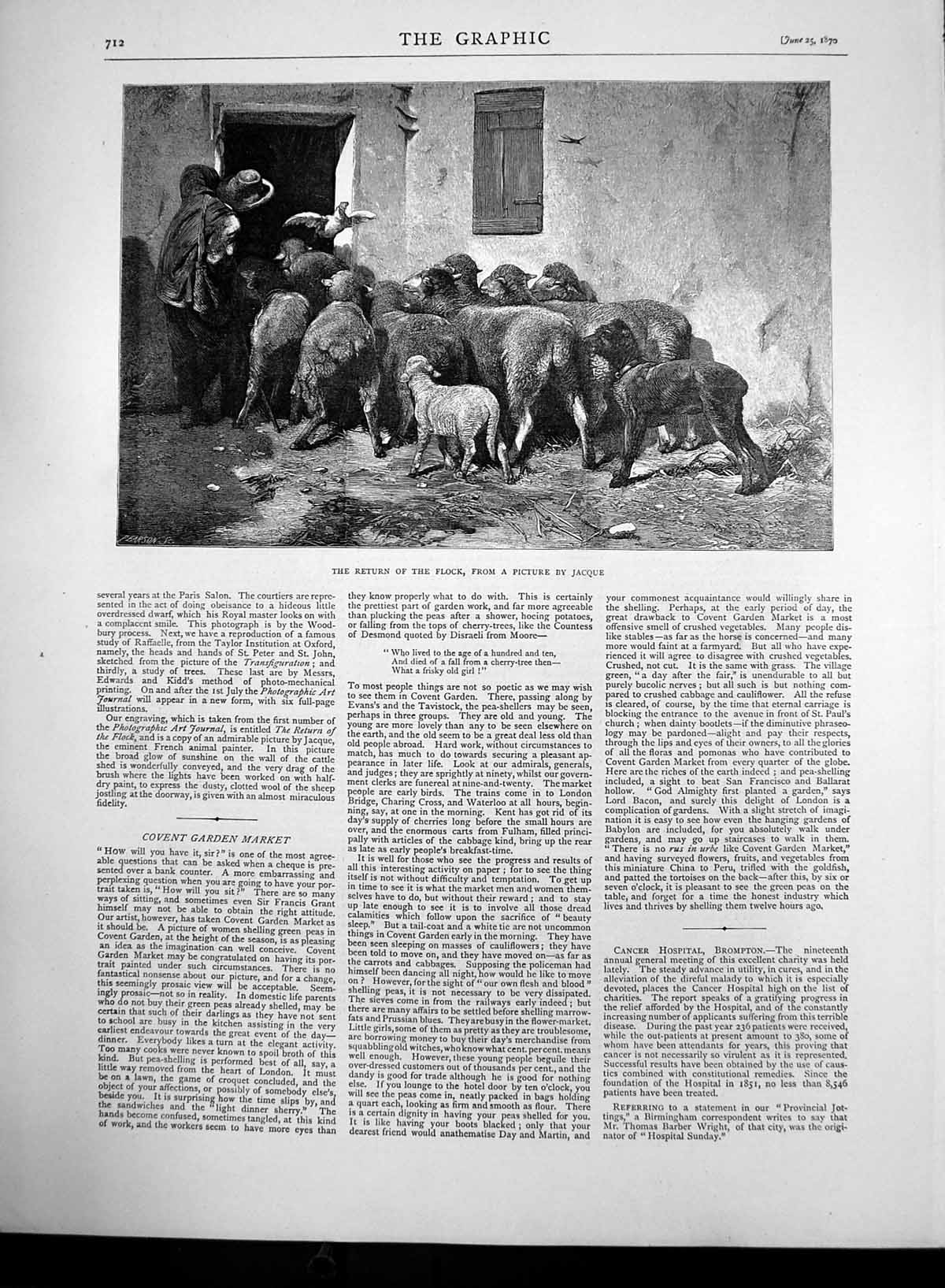Original Old Antique Print Return Flock By Jacque Sheep & Shepherd 1870 19th