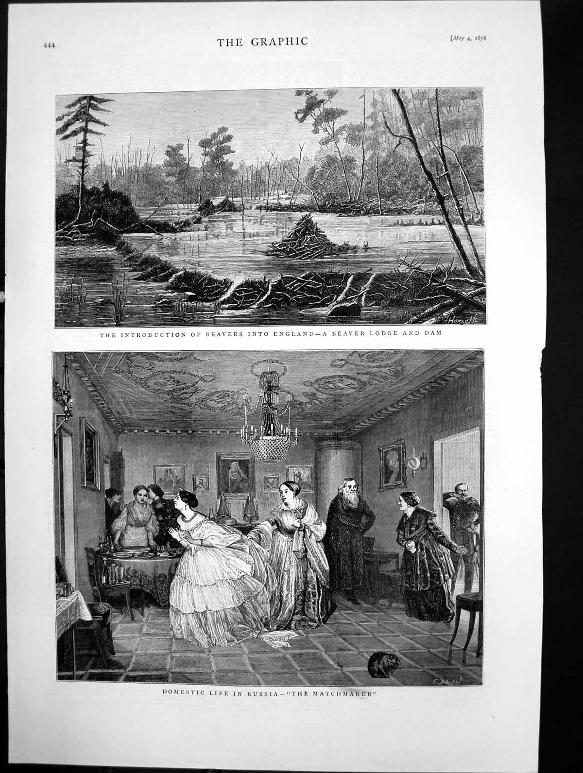 Old Introduction Beavers England Lodge Dam Domestic Life Russia 1878 Victorian