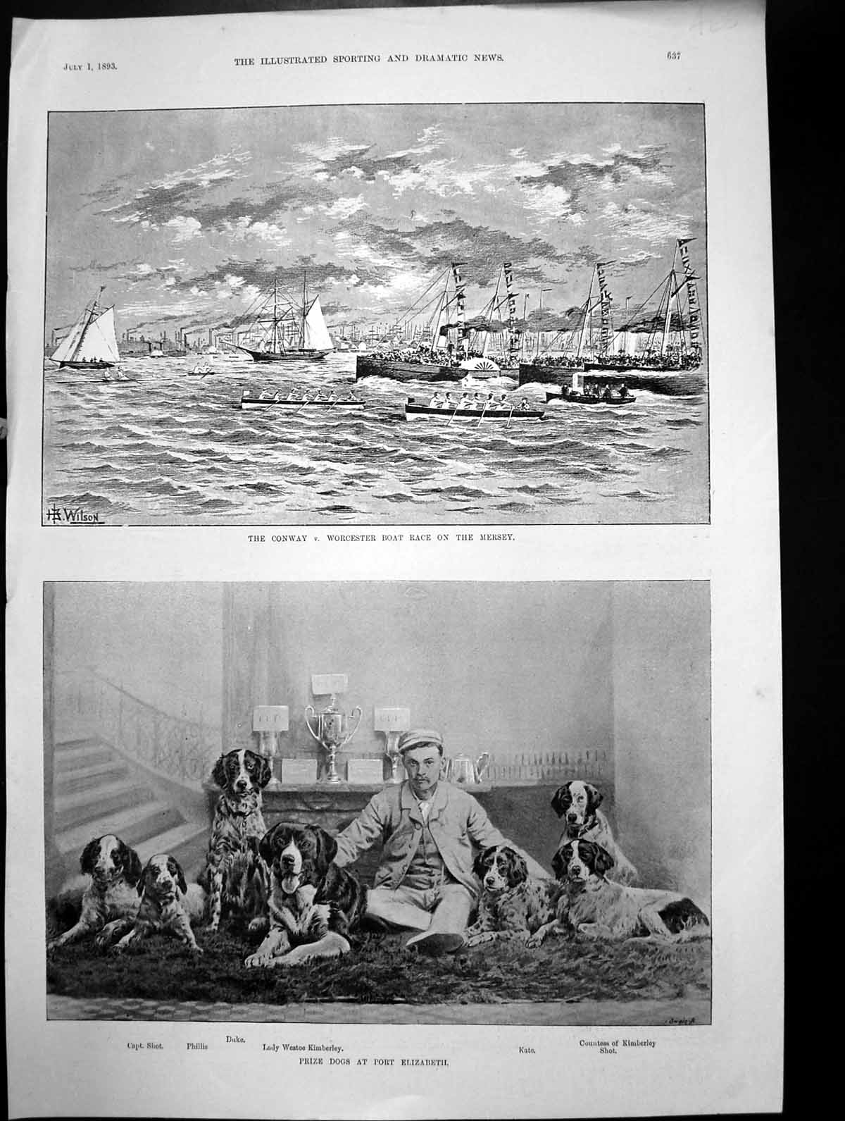 Old Conway V Worcester Boat Race Mersey Prize Dogs Port Elizabeth1893 Victorian