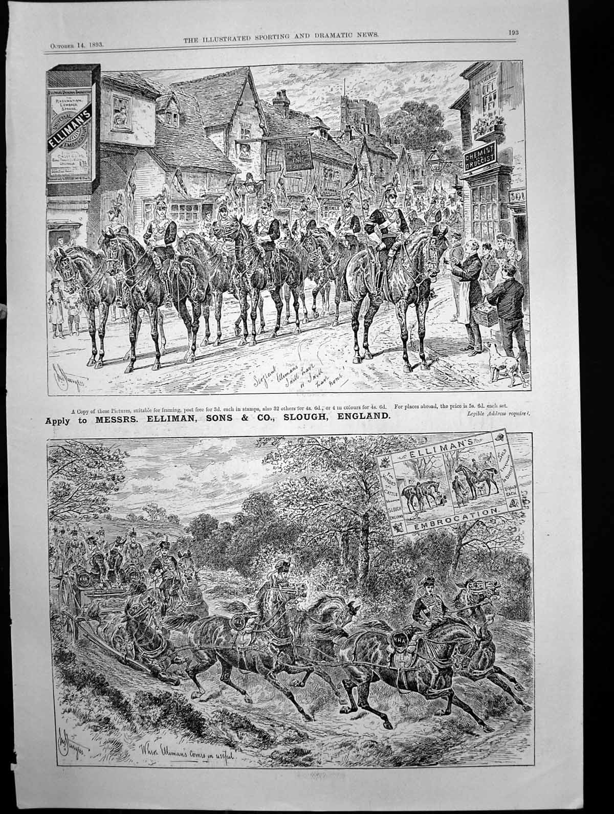 Antique Old Print S Horses Advertising Ellimans Embrocation J Sturgess 1893
