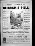 Old Beechams Pills Headache Stomach Nerves Beechams Tooth Paste 1892 Victorian
