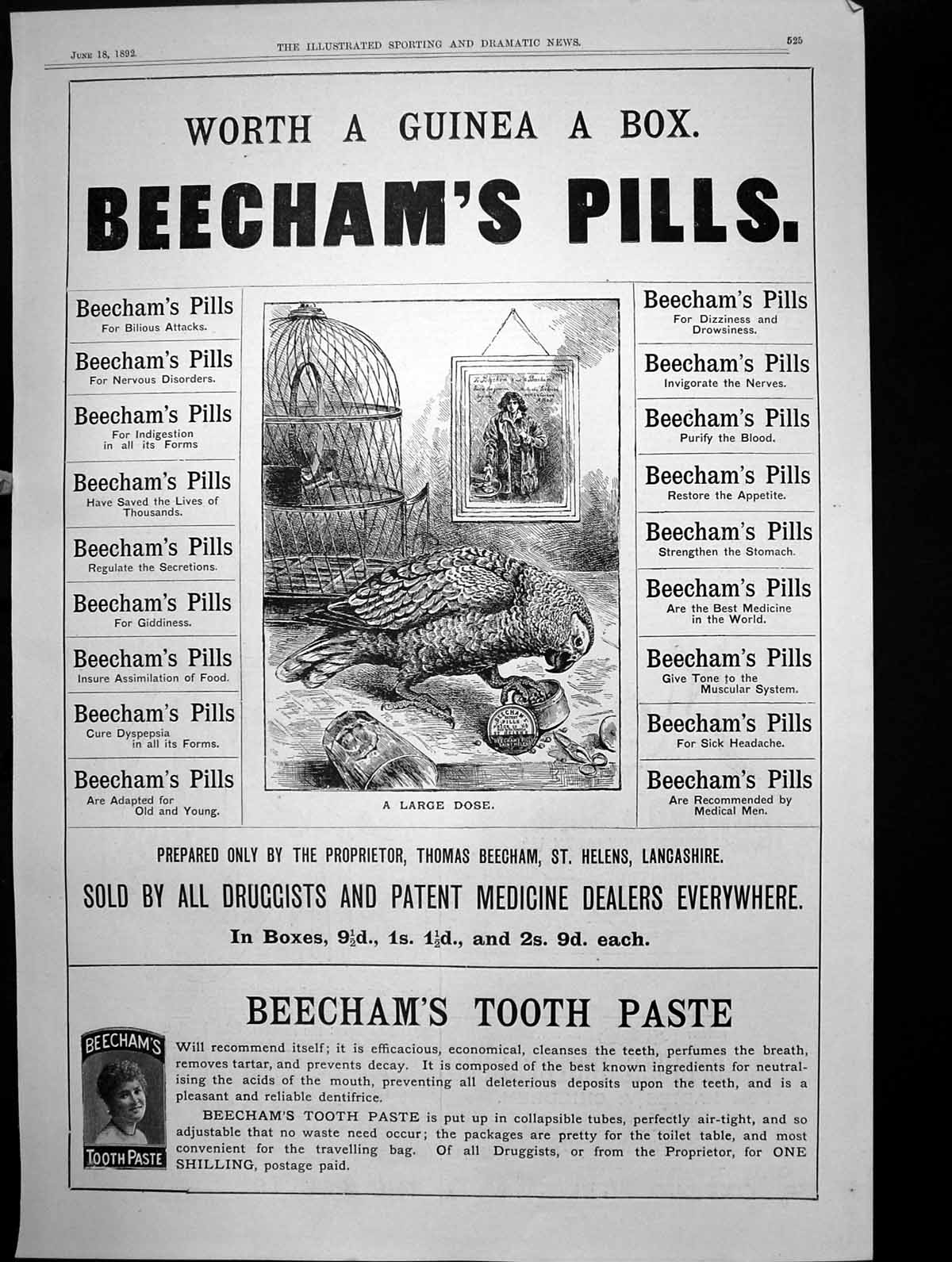 Old Beechams Pills Headache Stomach Nerves Beechams Tooth Paste 1892 Victorian