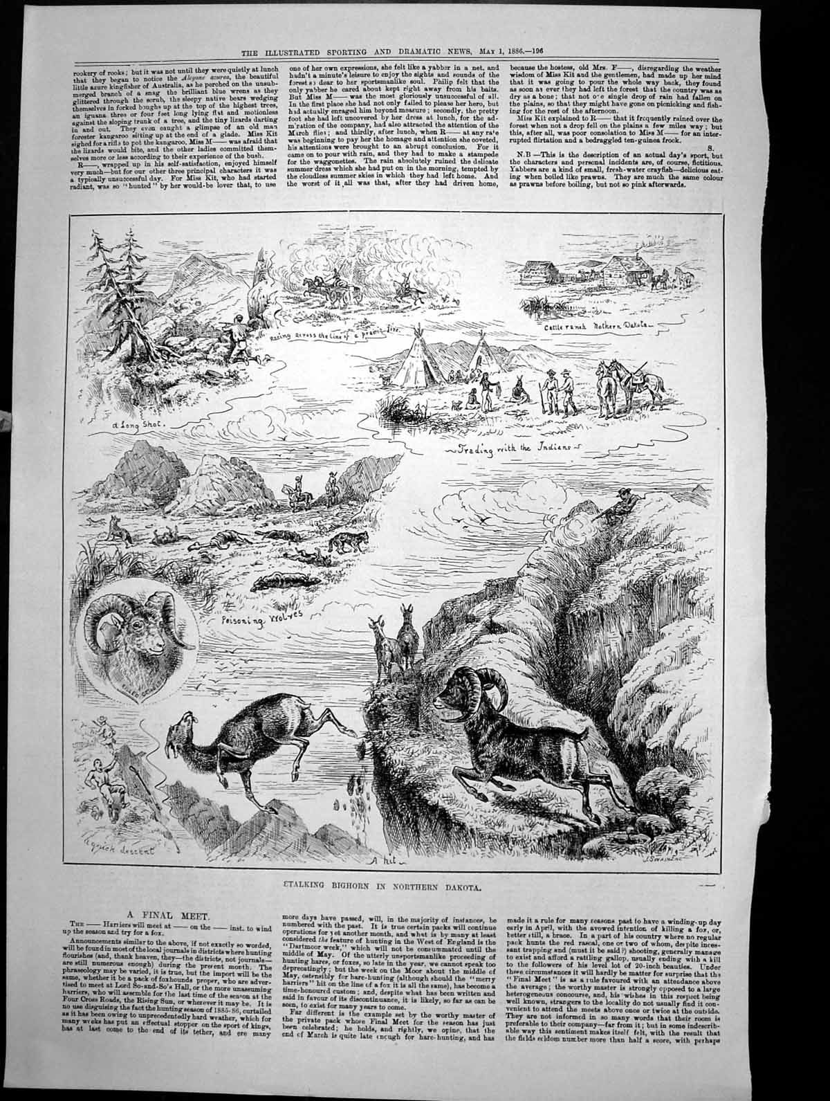 Old Stalking Bighorn Northern Dakota Poisoning Wolves Cattle Ranch188 Victorian
