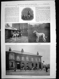 Old Print Mr J Cokes Greyhound Kennels Mr Molyneuxs Lot Out Exercise 1898 19th