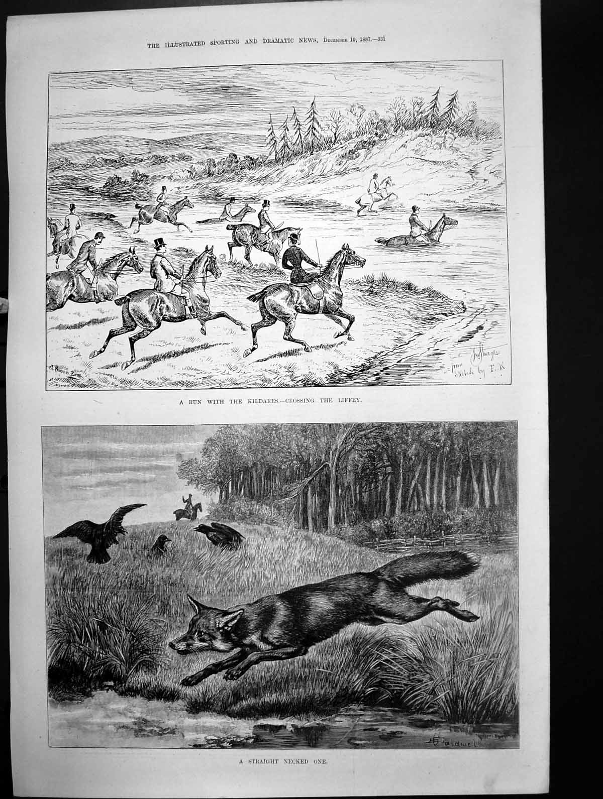 Old Run With Kildares Crossing Liffey Straight Necked One Fox Birds